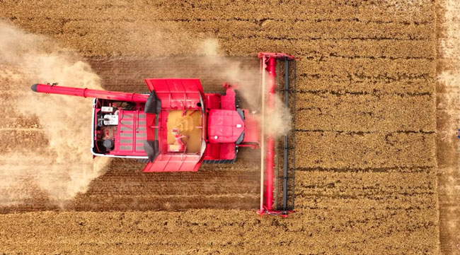 8188cc威尼斯(中国)有限公司官网